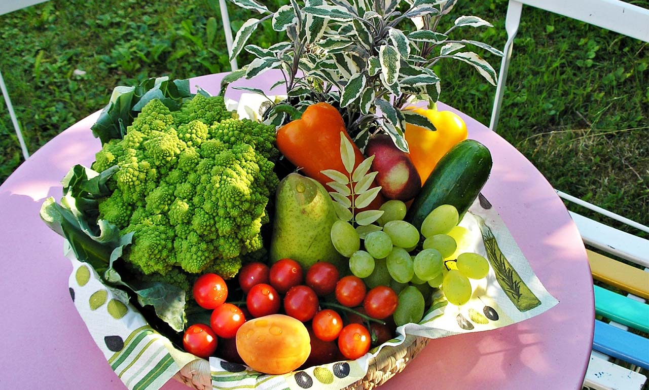 ip攻击器网页版