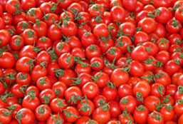 CC在线压力测试