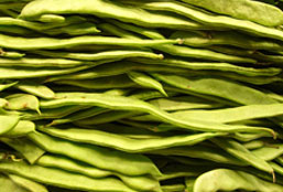 网站攻击工具手机版